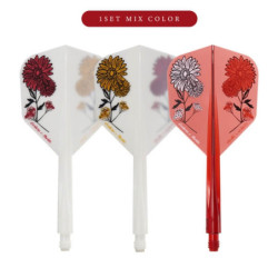 Condor Axe Flights S. - Gerbera & Statice Kort